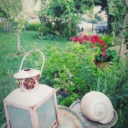 Tereza Διαμέρισμα
