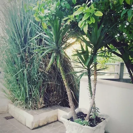 Tereza Διαμέρισμα Τρογκίρ