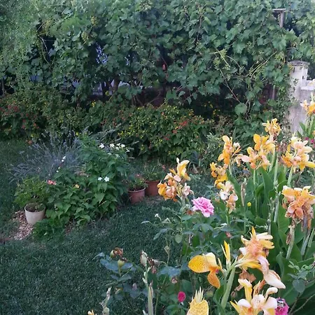 Tereza * Τρογκίρ